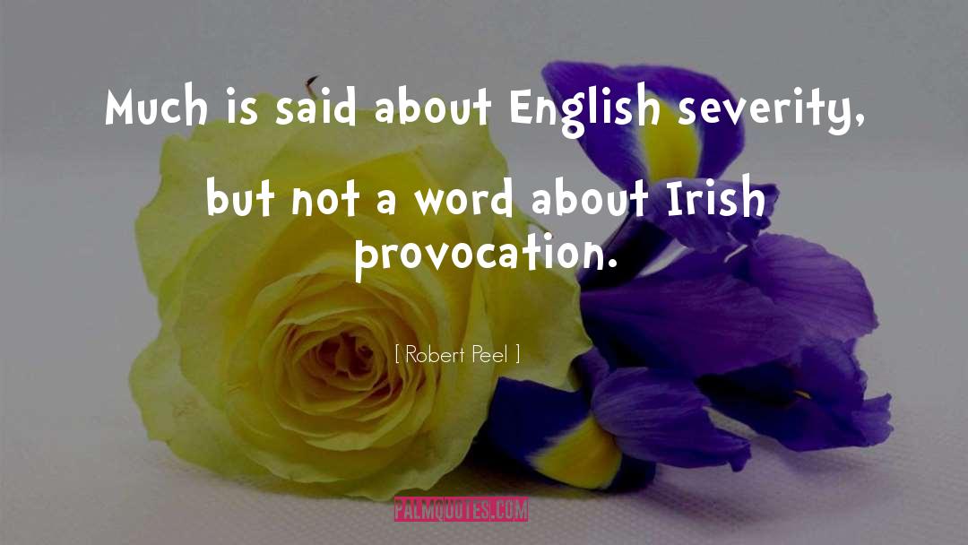 Robert Peel Quotes: Much is said about English