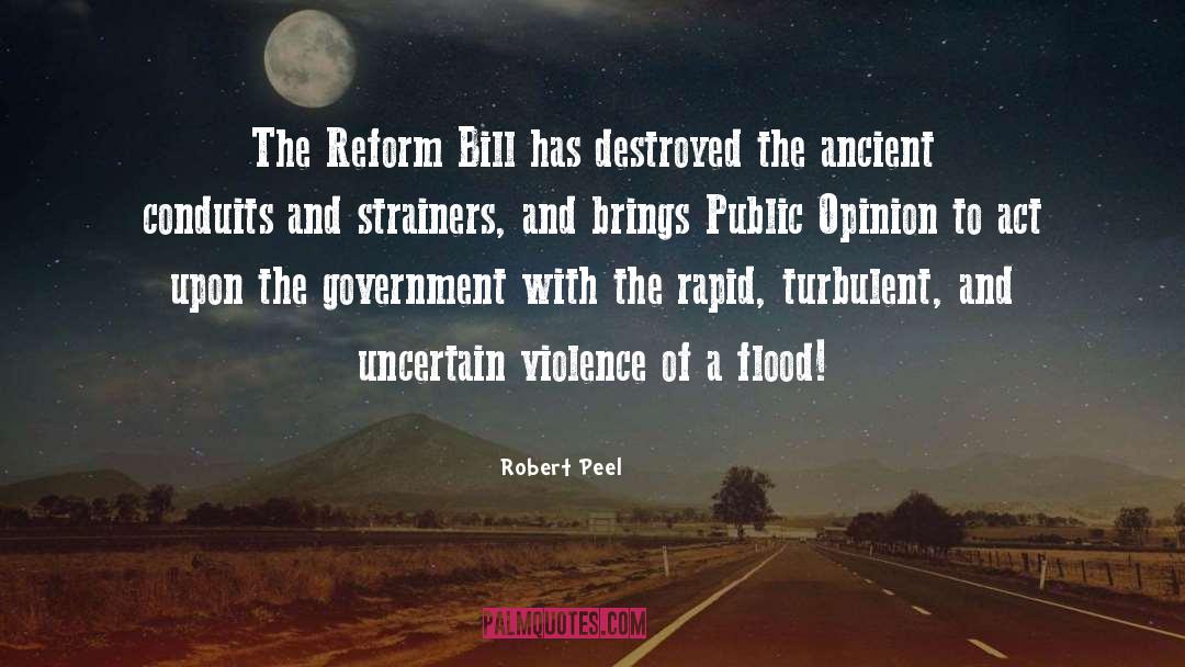 Robert Peel Quotes: The Reform Bill has destroyed