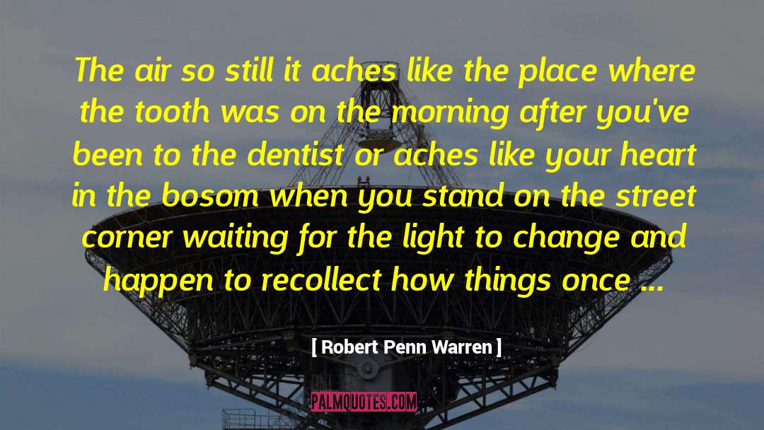 Robert Penn Warren Quotes: The air so still it