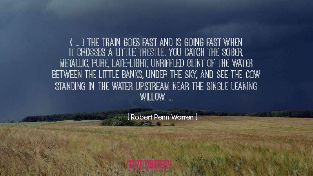 Robert Penn Warren Quotes: ( ... ) the train