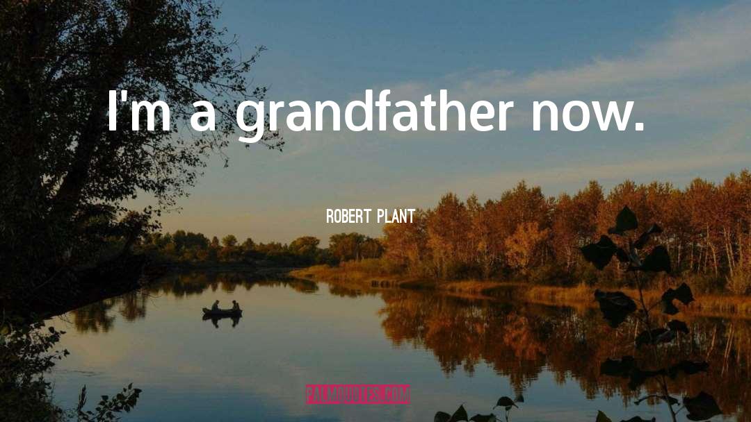 Robert Plant Quotes: I'm a grandfather now.