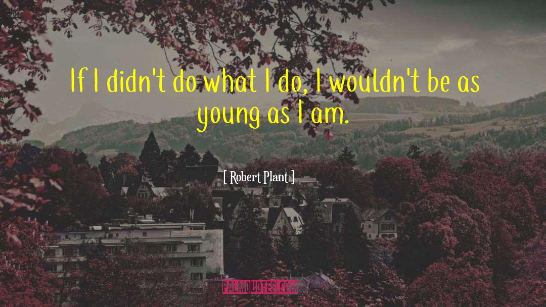 Robert Plant Quotes: If I didn't do what