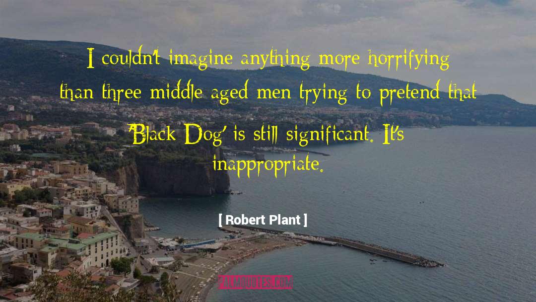 Robert Plant Quotes: I couldn't imagine anything more