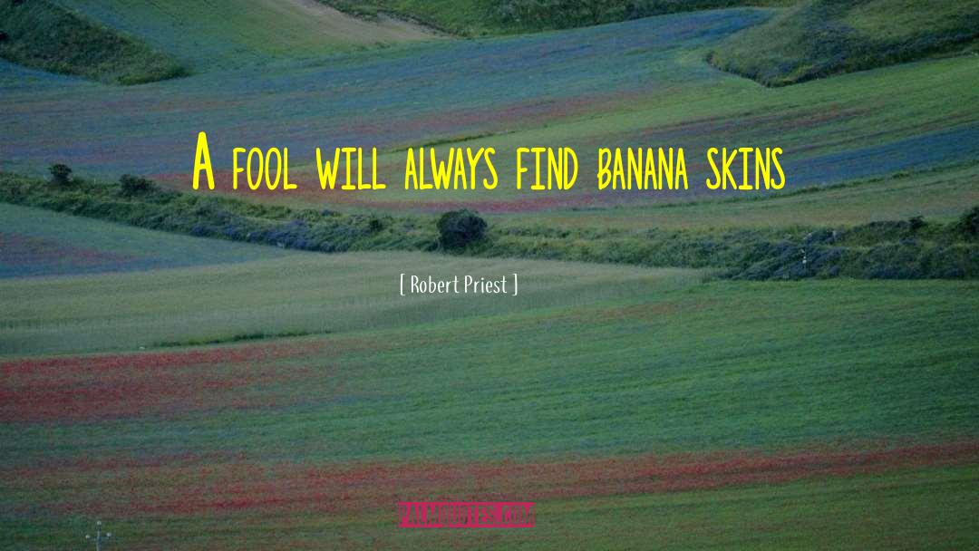 Robert Priest Quotes: A fool will always find