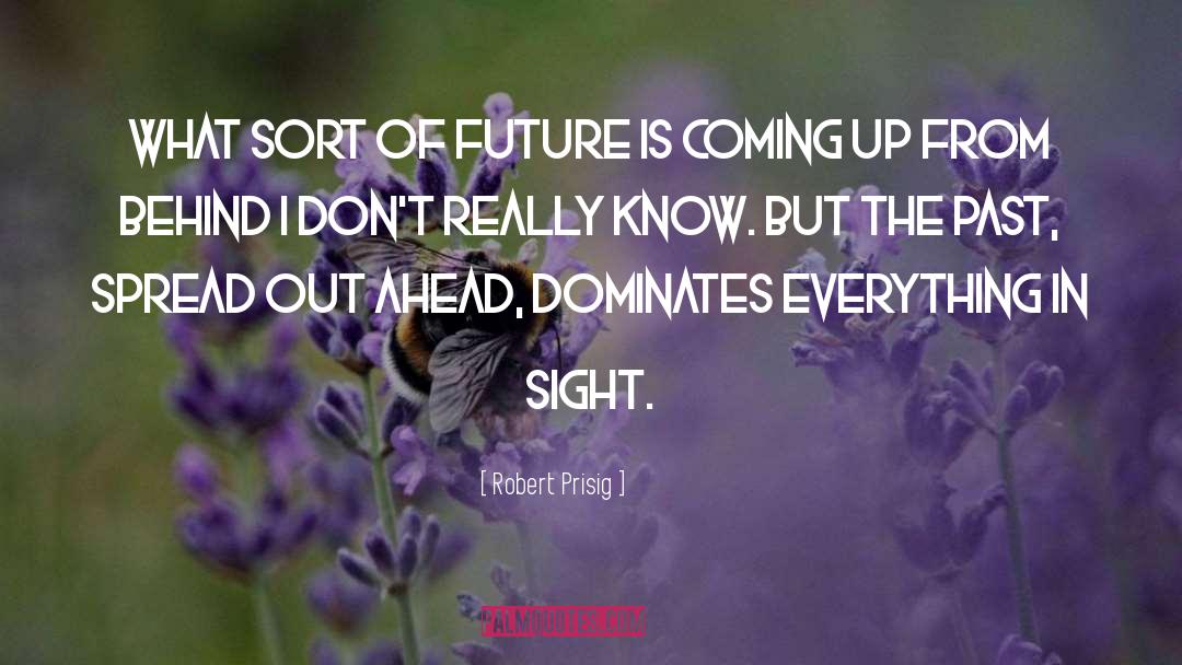 Robert Prisig Quotes: What sort of future is