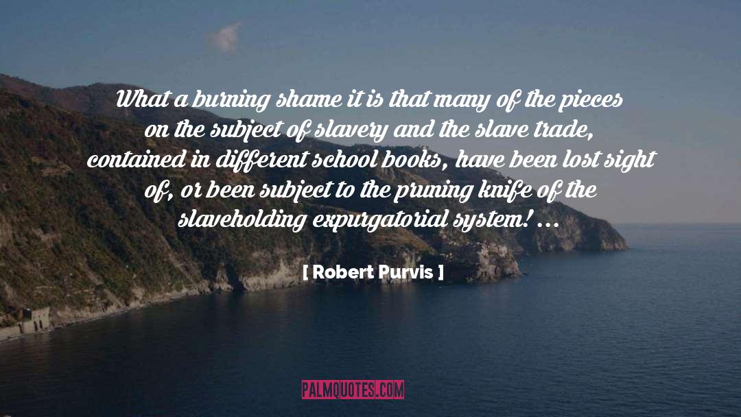 Robert Purvis Quotes: What a burning shame it