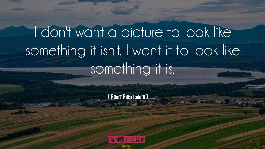 Robert Rauschenberg Quotes: I don't want a picture