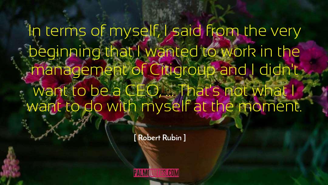 Robert Rubin Quotes: In terms of myself, I