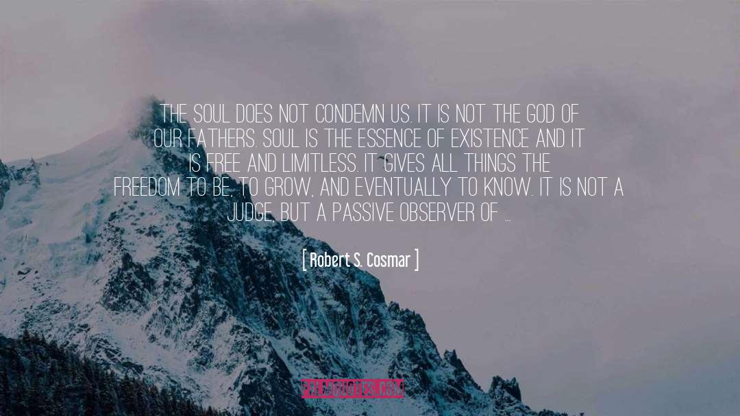 Robert S. Cosmar Quotes: The soul does not condemn