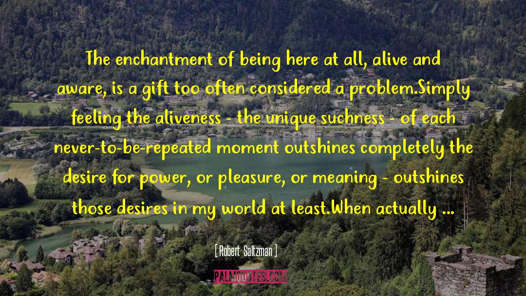 Robert  Saltzman Quotes: The enchantment of being here