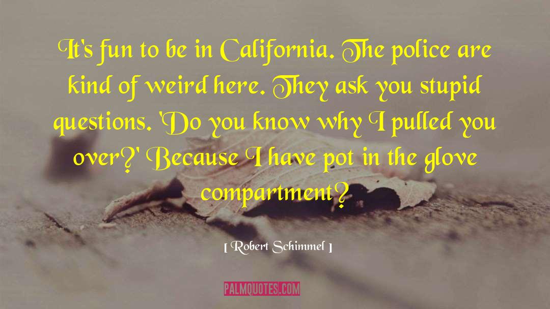 Robert Schimmel Quotes: It's fun to be in