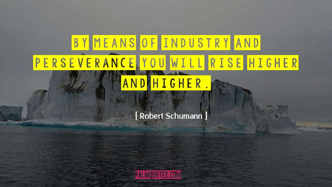 Robert Schumann Quotes: By means of industry and