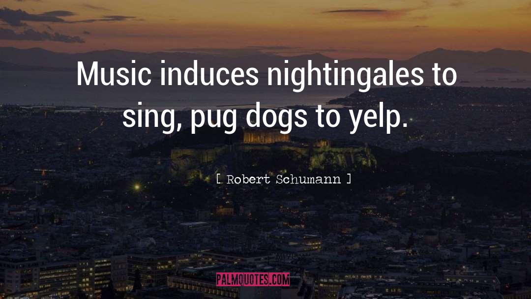 Robert Schumann Quotes: Music induces nightingales to sing,