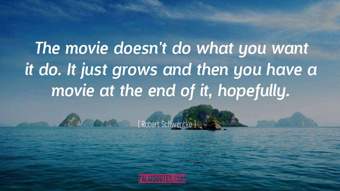 Robert Schwentke Quotes: The movie doesn't do what