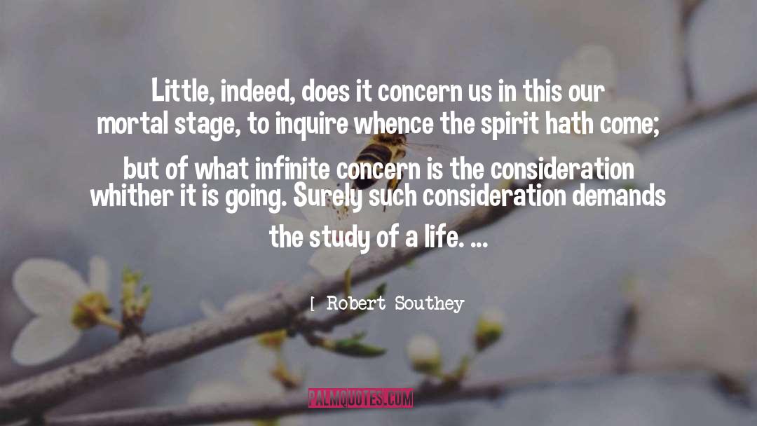 Robert Southey Quotes: Little, indeed, does it concern