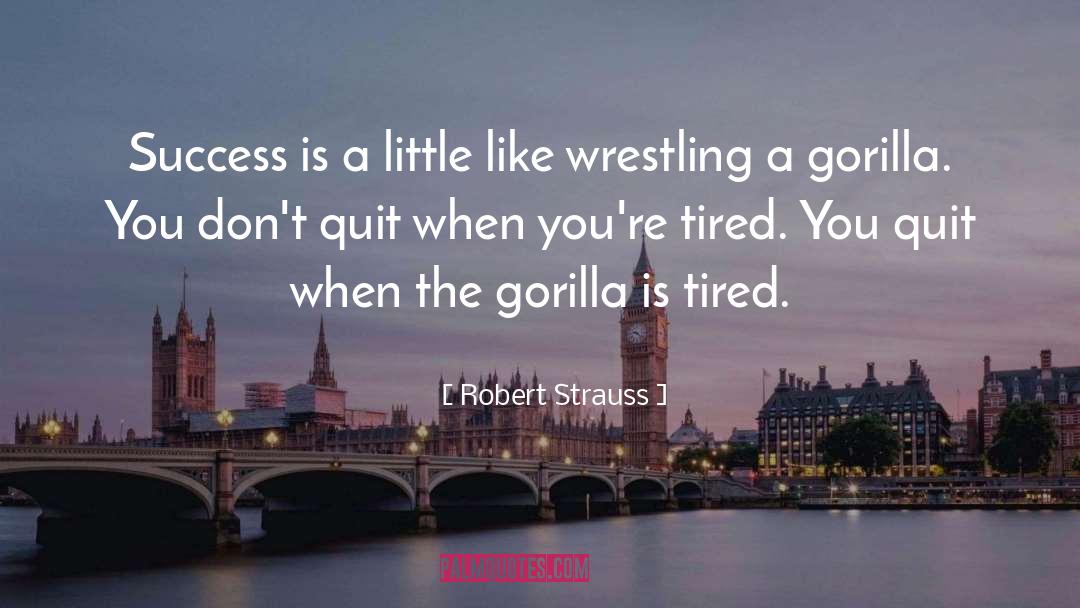 Robert Strauss Quotes: Success is a little like