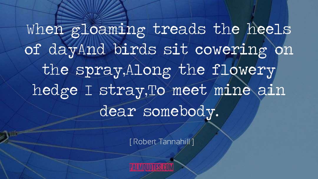 Robert Tannahill Quotes: When gloaming treads the heels