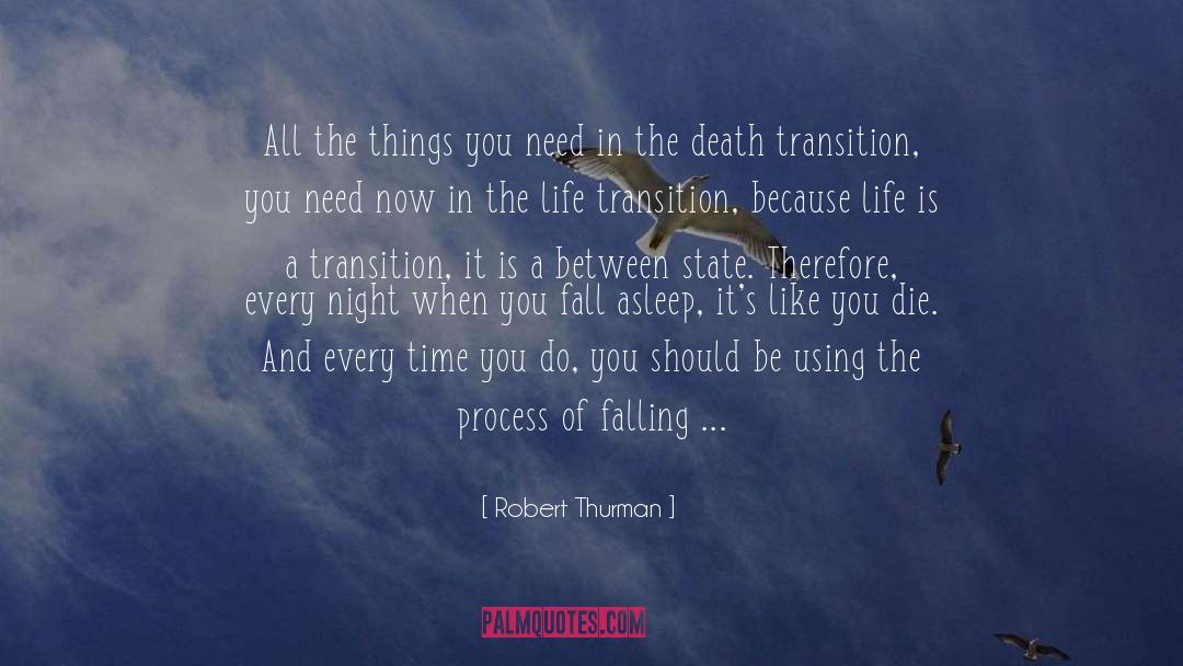 Robert Thurman Quotes: All the things you need