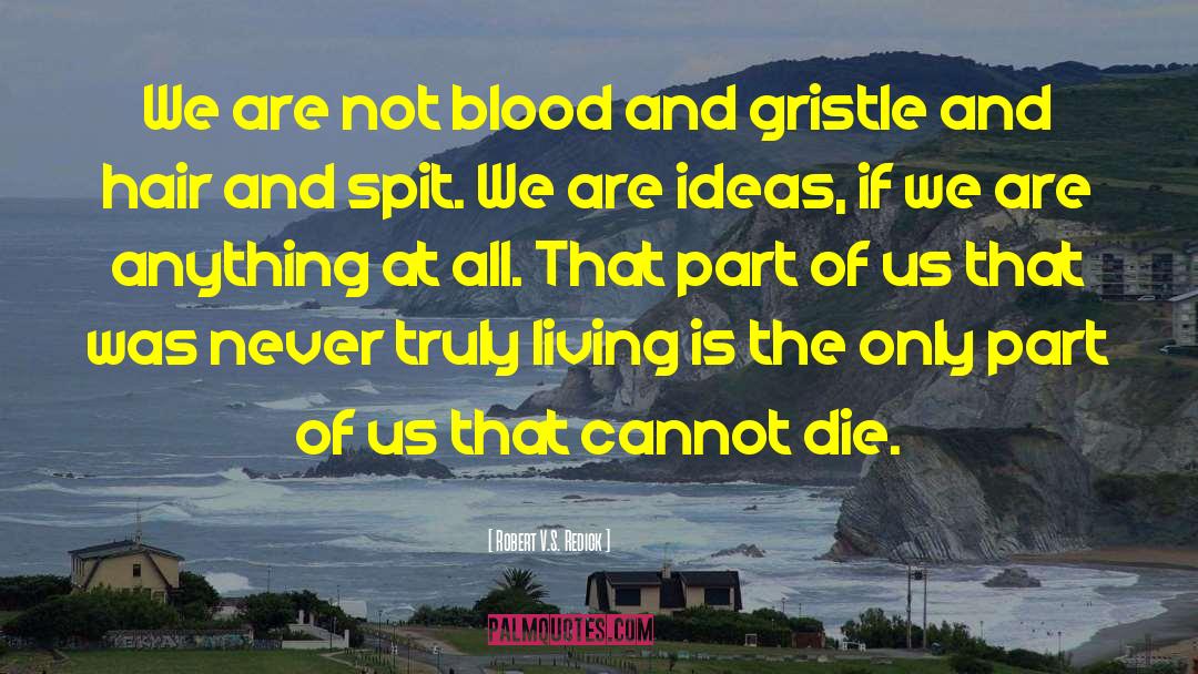 Robert V.S. Redick Quotes: We are not blood and
