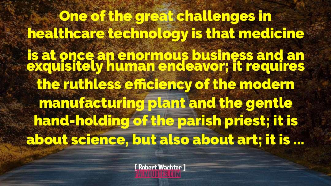 Robert Wachter Quotes: One of the great challenges