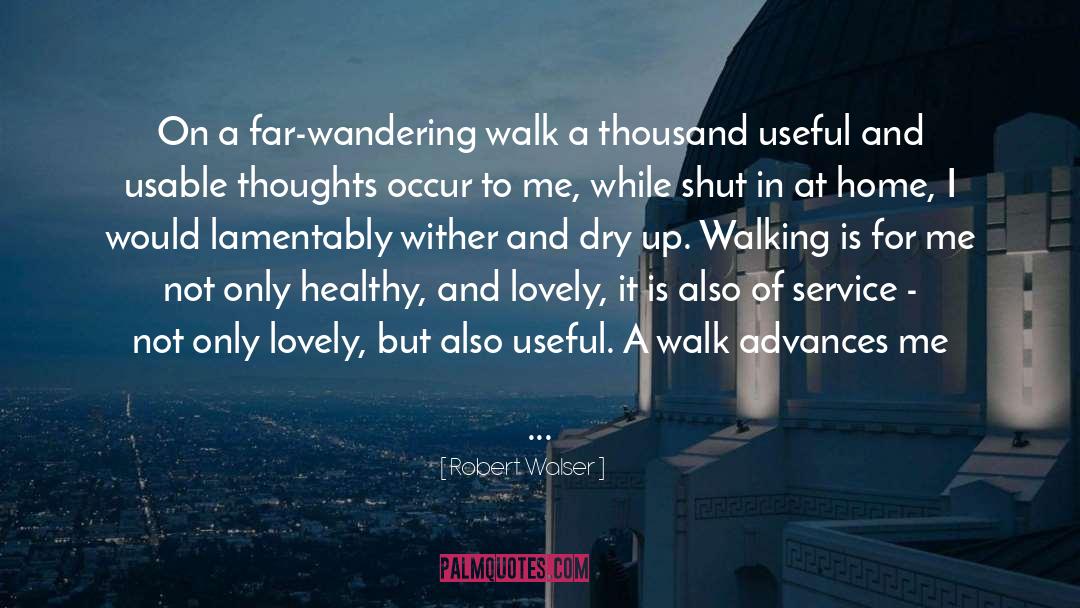 Robert Walser Quotes: On a far-wandering walk a