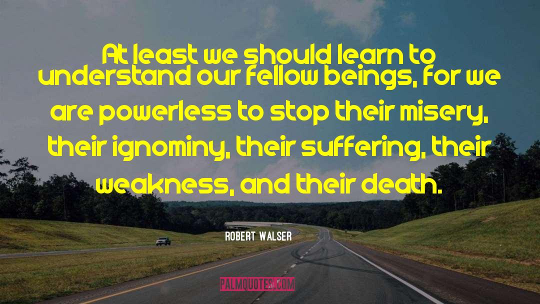 Robert Walser Quotes: At least we should learn