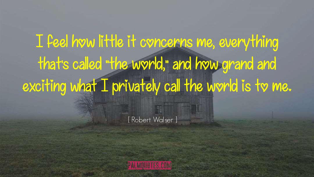 Robert Walser Quotes: I feel how little it