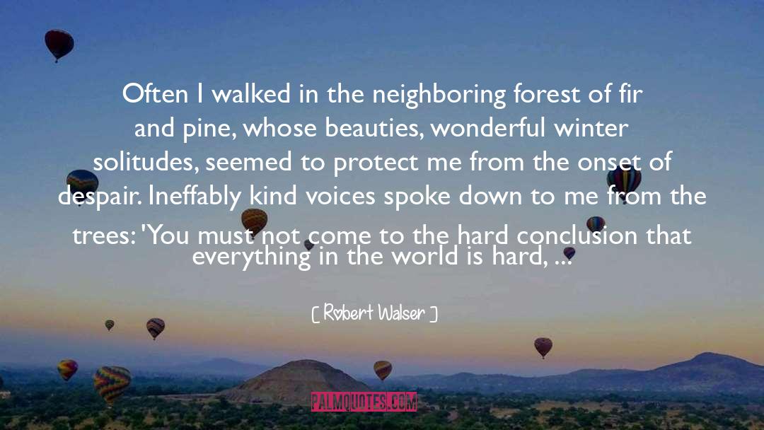 Robert Walser Quotes: Often I walked in the