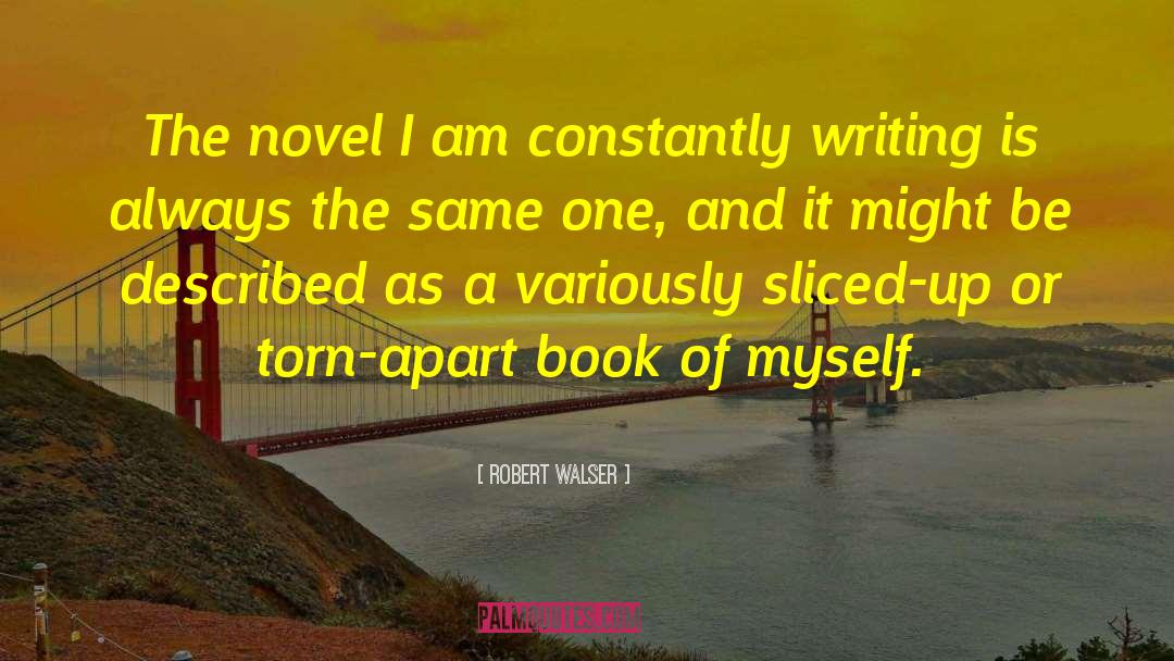 Robert Walser Quotes: The novel I am constantly