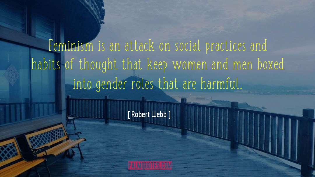 Robert Webb Quotes: Feminism is an attack on
