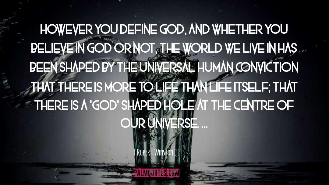 Robert Winston Quotes: However you define God, and