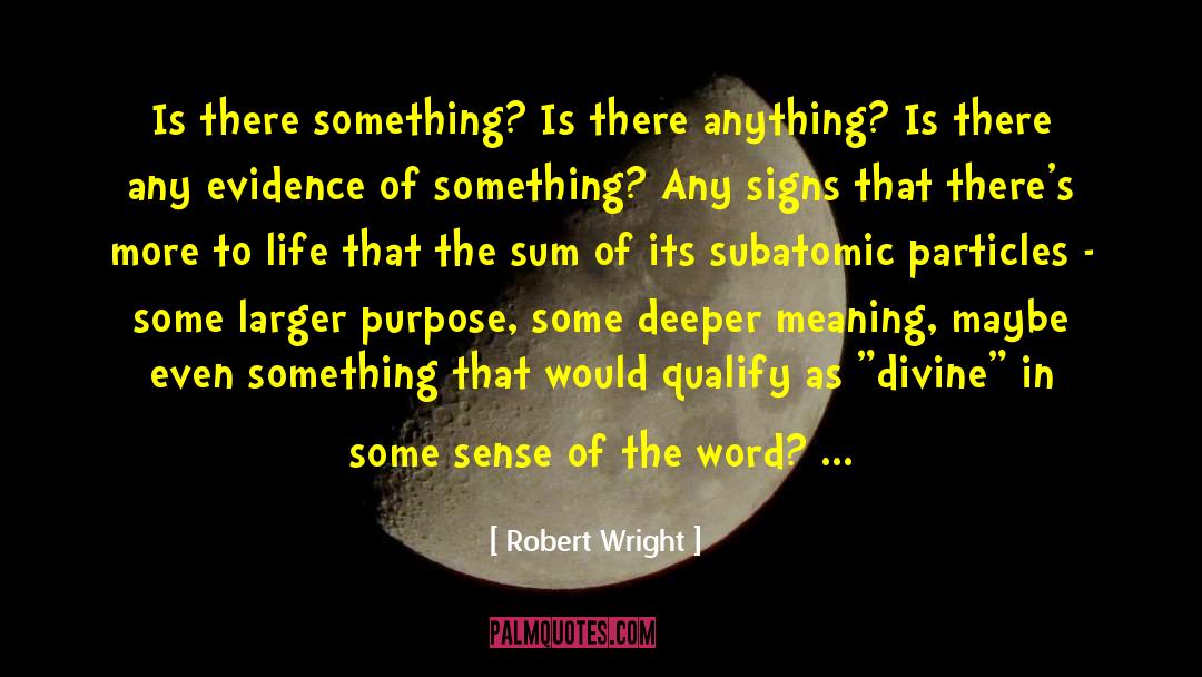 Robert Wright Quotes: Is there something? Is there