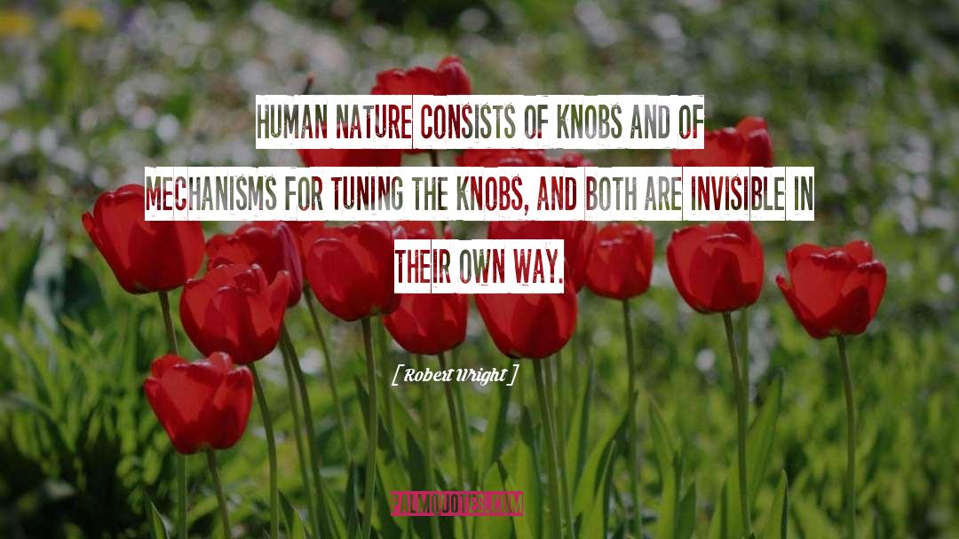 Robert Wright Quotes: Human nature consists of knobs