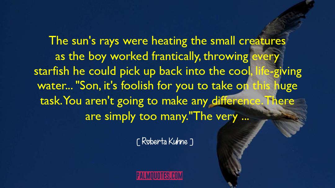 Roberta Kuhne Quotes: The sun's rays were heating