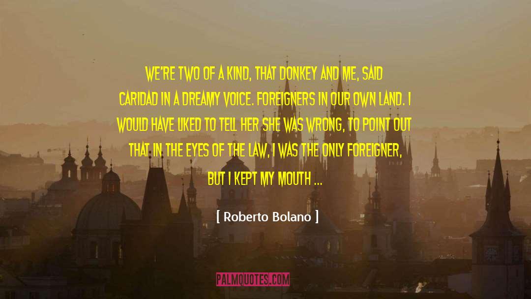 Roberto Bolano Quotes: We're two of a kind,