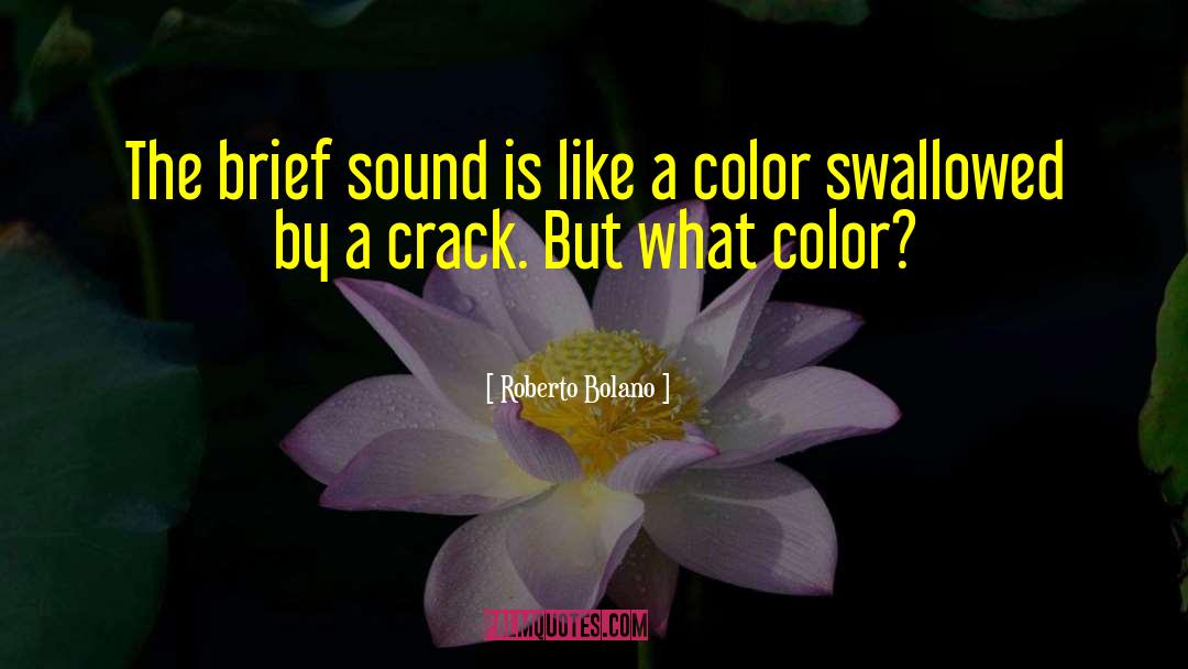 Roberto Bolano Quotes: The brief sound is like