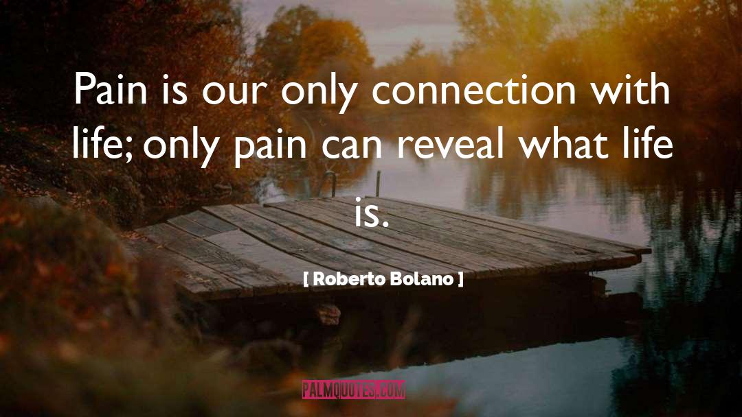 Roberto Bolano Quotes: Pain is our only connection