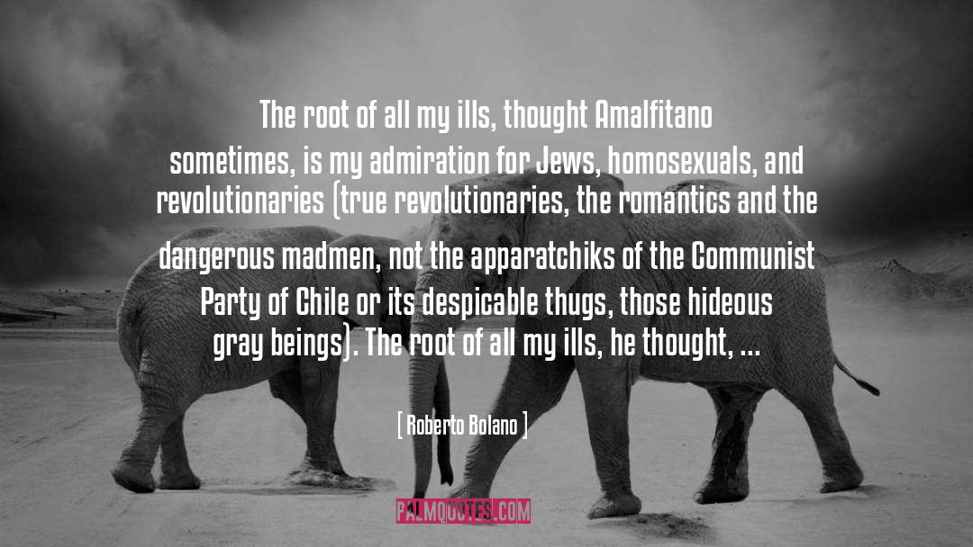 Roberto Bolano Quotes: The root of all my