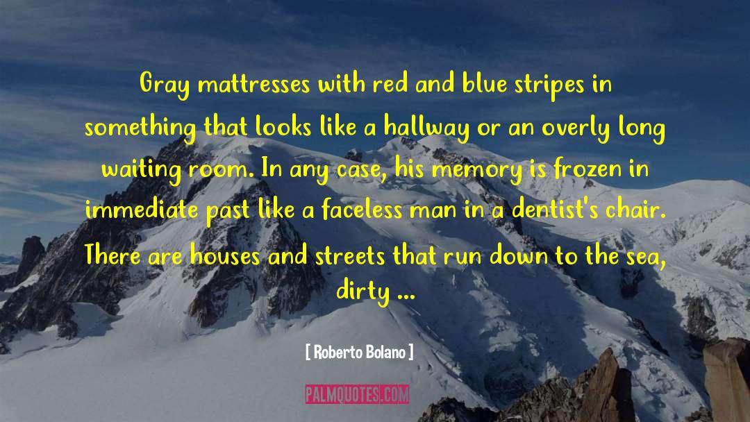 Roberto Bolano Quotes: Gray mattresses with red and