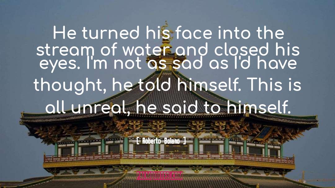Roberto Bolano Quotes: He turned his face into