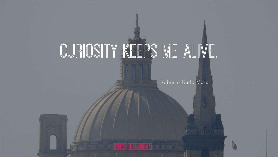 Roberto Burle Marx Quotes: Curiosity keeps me alive.