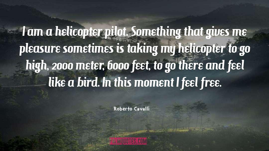 Roberto Cavalli Quotes: I am a helicopter pilot.