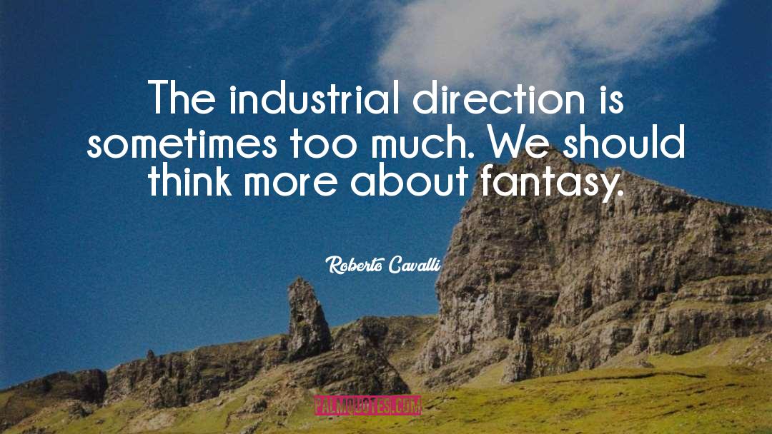 Roberto Cavalli Quotes: The industrial direction is sometimes