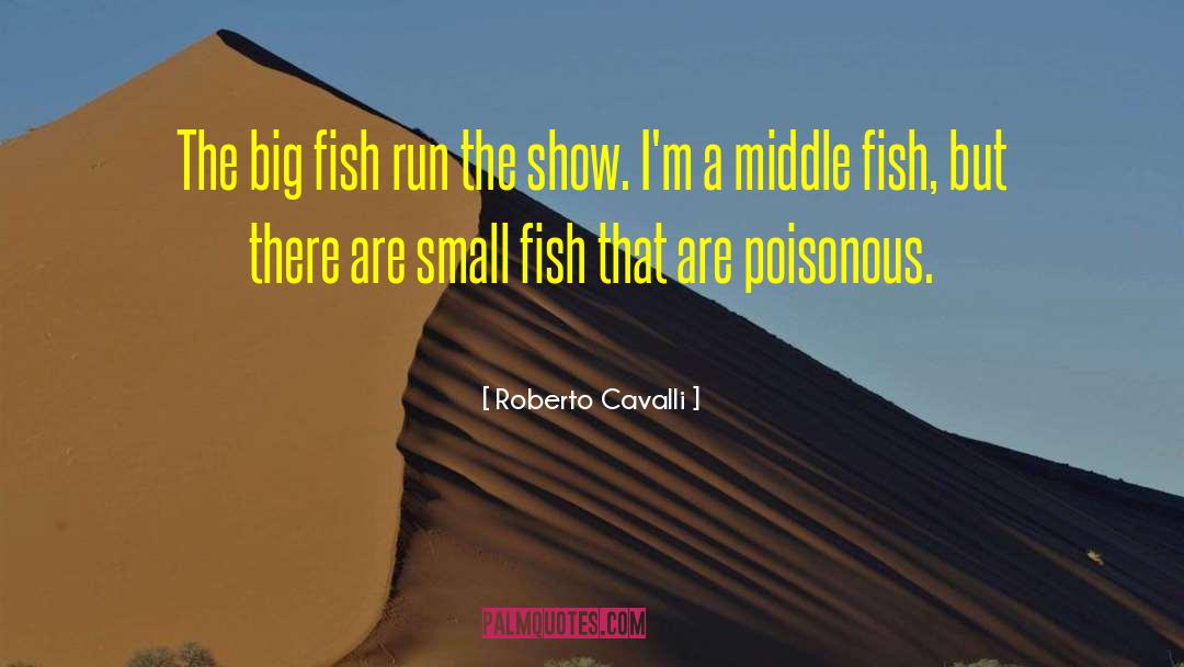 Roberto Cavalli Quotes: The big fish run the