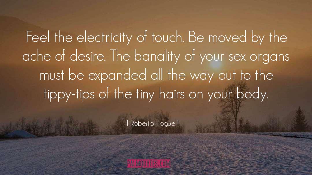 Roberto Hogue Quotes: Feel the electricity of touch.