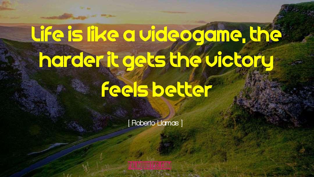 Roberto Llamas Quotes: Life is like a videogame,