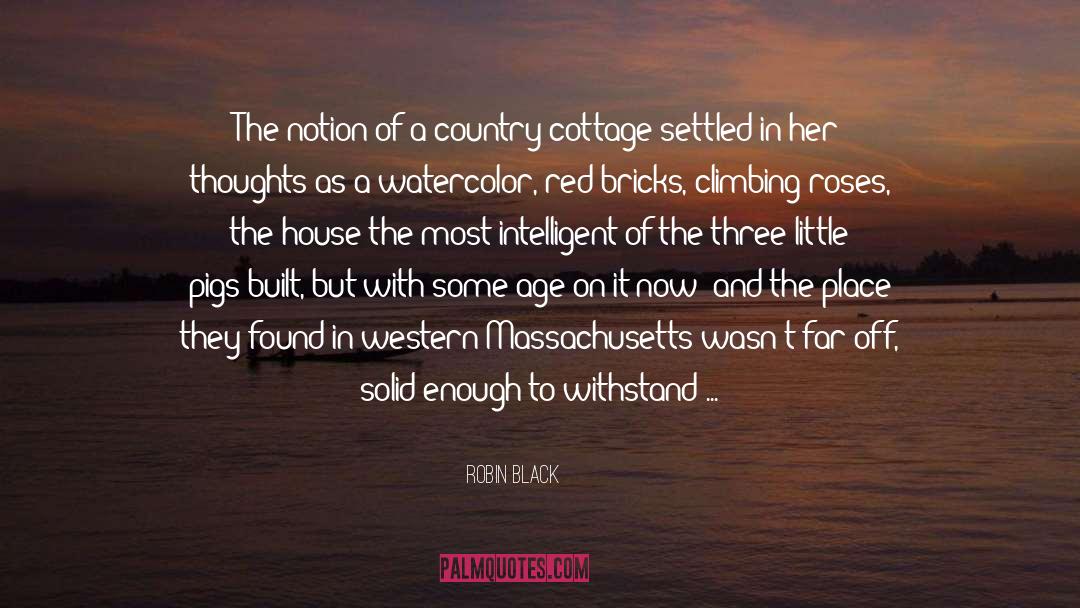 Robin Black Quotes: The notion of a country