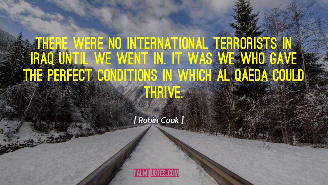 Robin Cook Quotes: There were no international terrorists