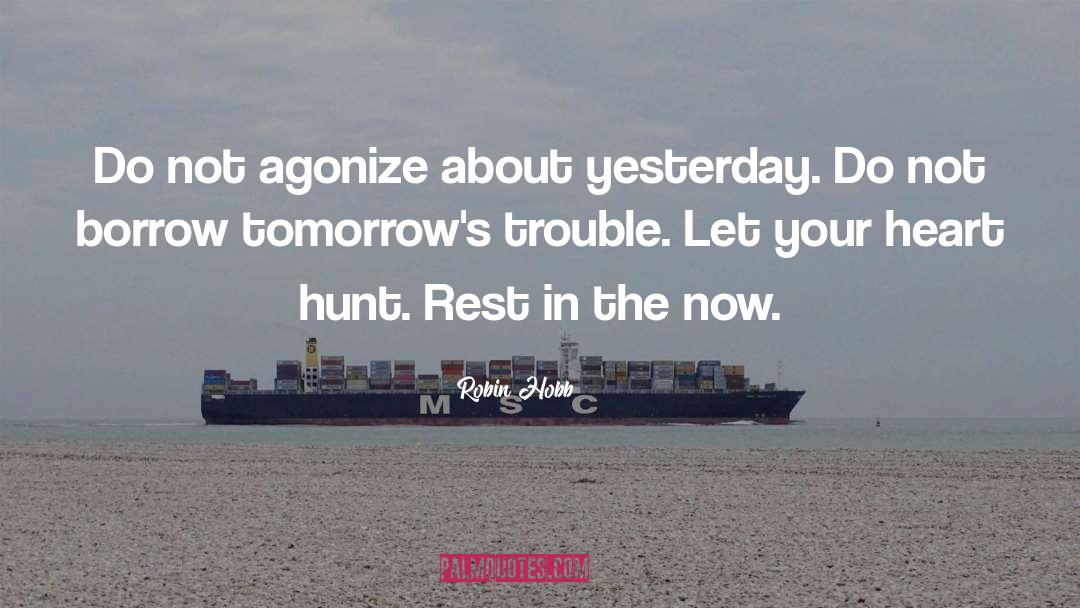 Robin Hobb Quotes: Do not agonize about yesterday.