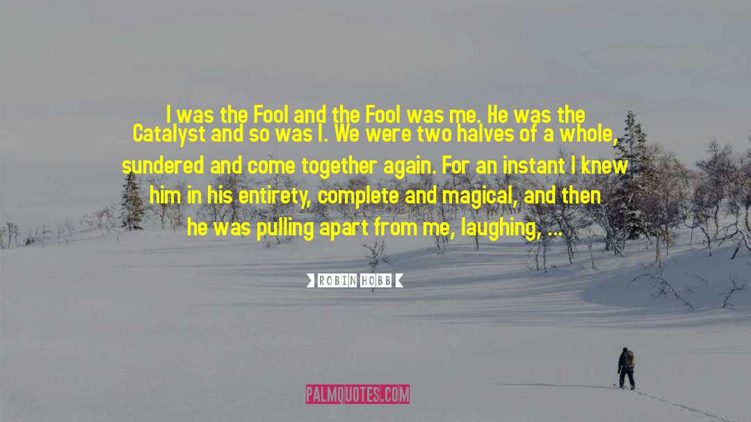 Robin Hobb Quotes: I was the Fool and